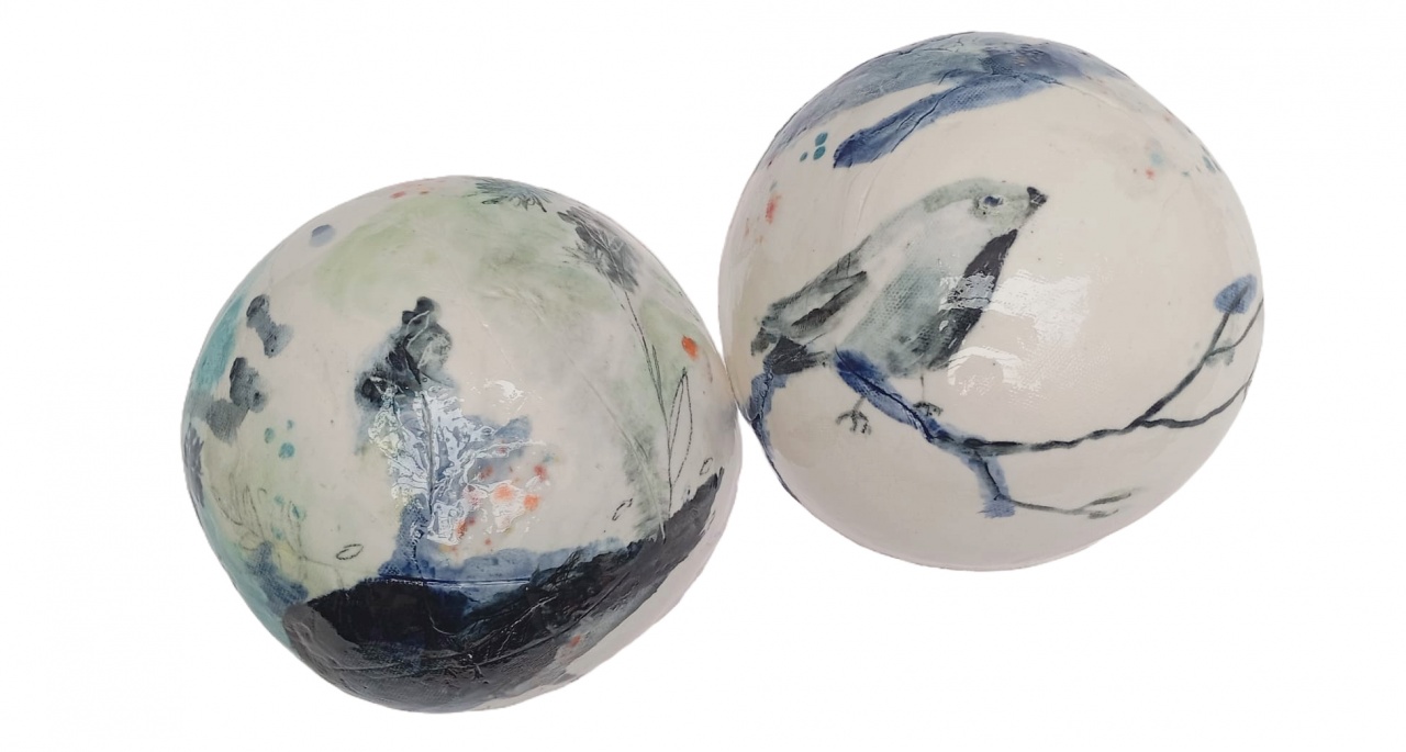 Sous la canopée, la terre