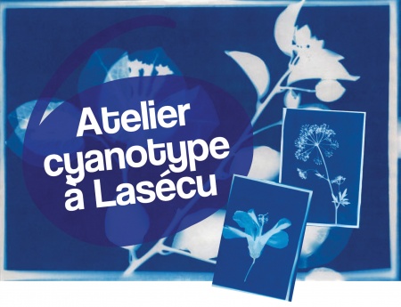 Atelier Cyanotype